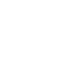 Play Icon